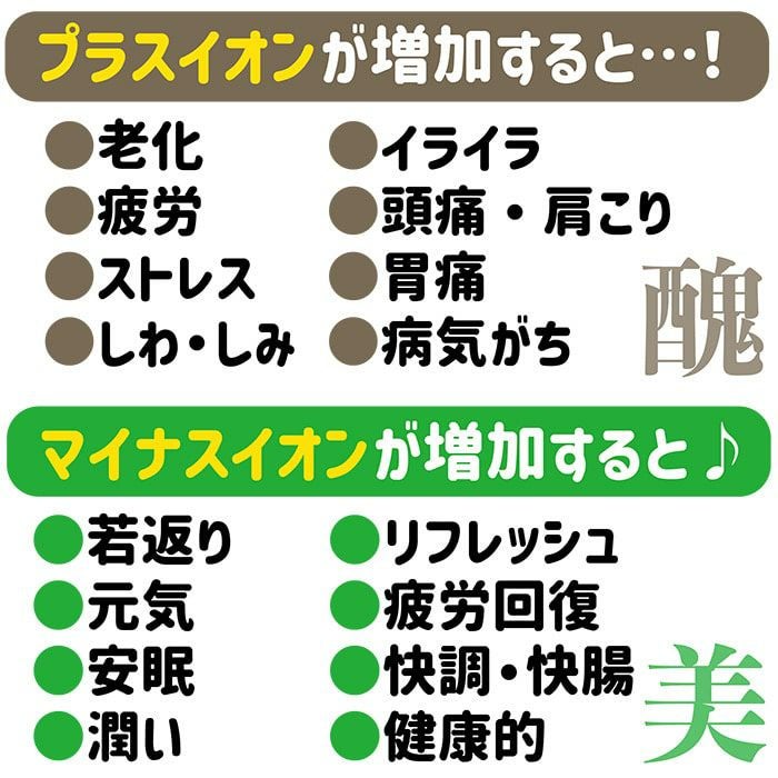 リ・コエンザイム　＜スパソルト『浴用』＞