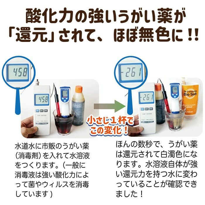 17種類の天然ミネラル！リ・コエンザイム ＜スパソルト『浴用