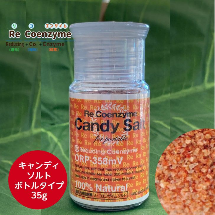 岩塩（チベット）、風化貝カルシウム