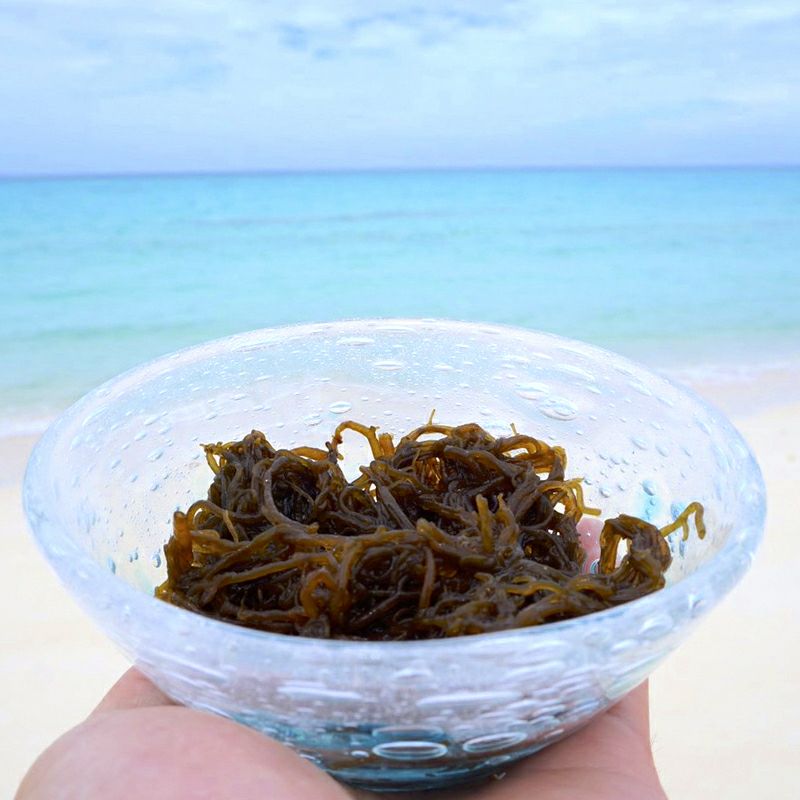  宮古島産 黄金もずく（塩蔵）80g×8パック